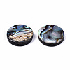 Natural Abalone Shell/Paua Shell Beads SSHEL-T014-14D-2