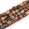 Natural Polychrome Jasper/Picasso Stone/Picasso Jasper Beads Strands G-T140-60A-4