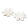 Natural Freshwater Shell Pendants SHEL-D082-08A-2