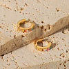 Stainless Steel Enamel Hoop Earrings FS1910-2