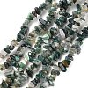 Natural Moss Agate Beads Strands G-G0003-B24-1