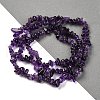 Natural Amethyst Chip Beads Strands G-L607-A01-01-4