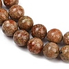 Natural Unakite Beads Strands G-F792-C06-02-4