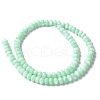 Natural Freshwater Shell Beads Strands SSHEL-C013-07D-2