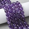 Natural Amethyst Beads Strands G-R446-10mm-21-A-3