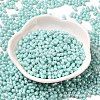 Opaque Colours Luster Glass Seed Beads X1-SEED-B001-01A-08-2