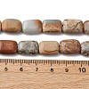 Natural Aqua Terra Jasper Beads Strands G-L624-F03-14x10mm-5