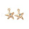Brass Micro Pave Cubic Zirconia Charms KK-Z112-20G-01-1