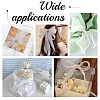 CRASPIRE 2 Rolls Polyester Chiffon Ribbon DIY-CP0010-71-6