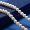 Natural Cultured Freshwater PearlBeads Strands PEAR-E002-04-01-5