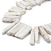 Natural Howlite Beads Strands G-L551B-09-3