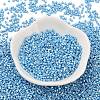 Baking Paint Glass Seed Beads SEED-S042-15B-28-2