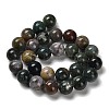Natural Indian Agate Beads Strands G-G175-A06-01-3