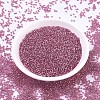 MIYUKI Round Rocailles Beads SEED-G007-RR1338-2