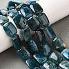 Natural Apatite Beads Strands G-Q026-B01-03-2