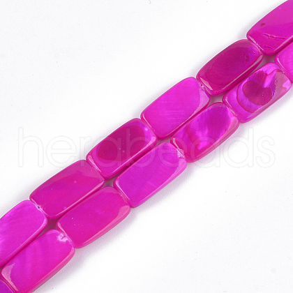 Spray Painted Freshwater Shell Beads SHEL-T010-04A-1