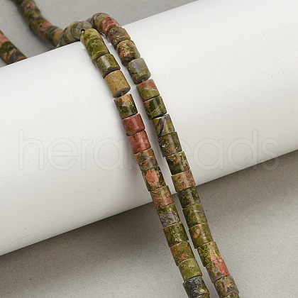 Natural Unakite Beads Strands G-G202-A03-02-1
