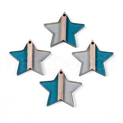Transparent Resin & Wood Pendants RESI-T057-62A-1
