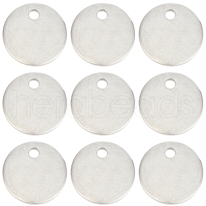 CREATCABIN 304 Stainless Steel Charms STAS-CN0001-42-1