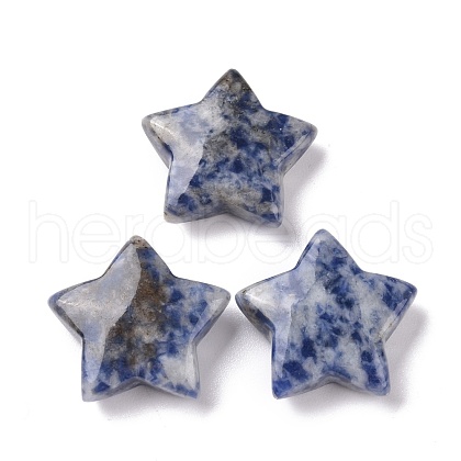 Natural Blue Spot Jasper Beads G-P469-12A-01-1