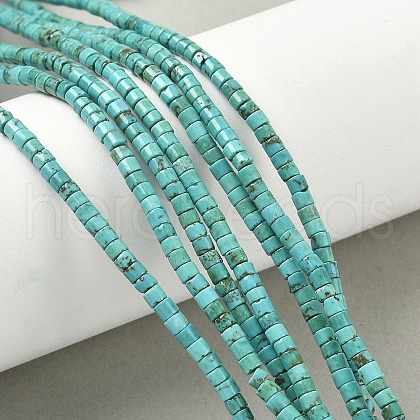 Dyed Natural Magnesite Beads Strands G-M448-C01-01-1