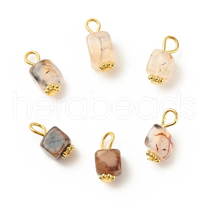 Natural Agate Pendants PALLOY-JF01586-04-1