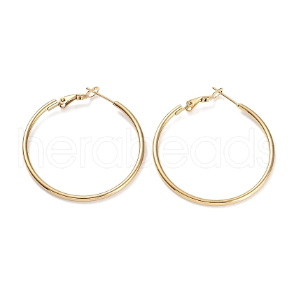 Ring 304 Stainless Steel Hoop Earrings for Women Men EJEW-B049-02D-G-1