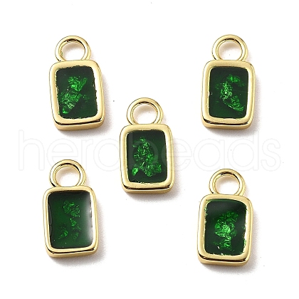 Epoxy Resin Charms KK-Z114-21G-01-1