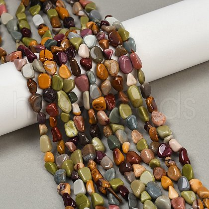 Natural Alashan Agate Beads Strands G-Q060-D19-02-1