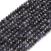 Natural Iolite Beads Strands G-B142-B01-2