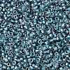 TOHO Round Seed Beads X-SEED-TR15-0263-2