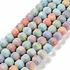 Natural Rainbow Alashan Agate Lantern Beads Strands G-NH0022-B01-02-1
