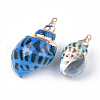 Spray Paint & Electroplate Spiral Shell Pendants SSHEL-S262-03-4