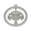 201 Stainless Steel Pendants STAS-T008-084-2