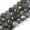Natural Labradorite Beads Strands G-T108-61-1