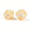 Resin Beads RESI-T059-04K-2