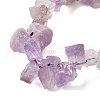 Natural Amethyst Beads Strands G-S386-B05-4