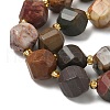 Natural Red Picasso Stone/Polychrome Jasper Beads Strands G-U023-A10-01-4