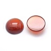 Natural Carnelian Cabochons G-P393-R18-14mm-2