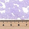 Transparent Colours Glass Seed Beads SEED-R001-01D-4