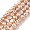 Natural Cultured Freshwater Pearl Beads Strands PEAR-A006-03F-2