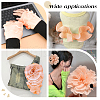 Chiffon Organza Pleated Lace Trim DIY-WH0892-01B-6