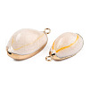 Electroplate Cowrie Shell Pendants X-SSHEL-S261-11-7