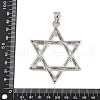 Tibetan Style Alloy Big Pendants PALLOY-V008-03D-AS-3