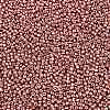 12/0 Glass Seed Beads X-SEED-A017-2mm-1108-2