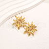 Stainless Steel Stud Earrings TJ4853-3-3