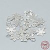 925 Sterling Silver Charms STER-T002-290S-3