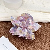Cellulose Acetate(Resin) Claw Hair Clips PW-WG6F103-09-1