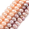 Natural Cultured Freshwater Pearl Beads Strands PEAR-C003-12C-2