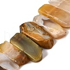 Natural Botswana Agate Beads Strands G-S386-D02-2